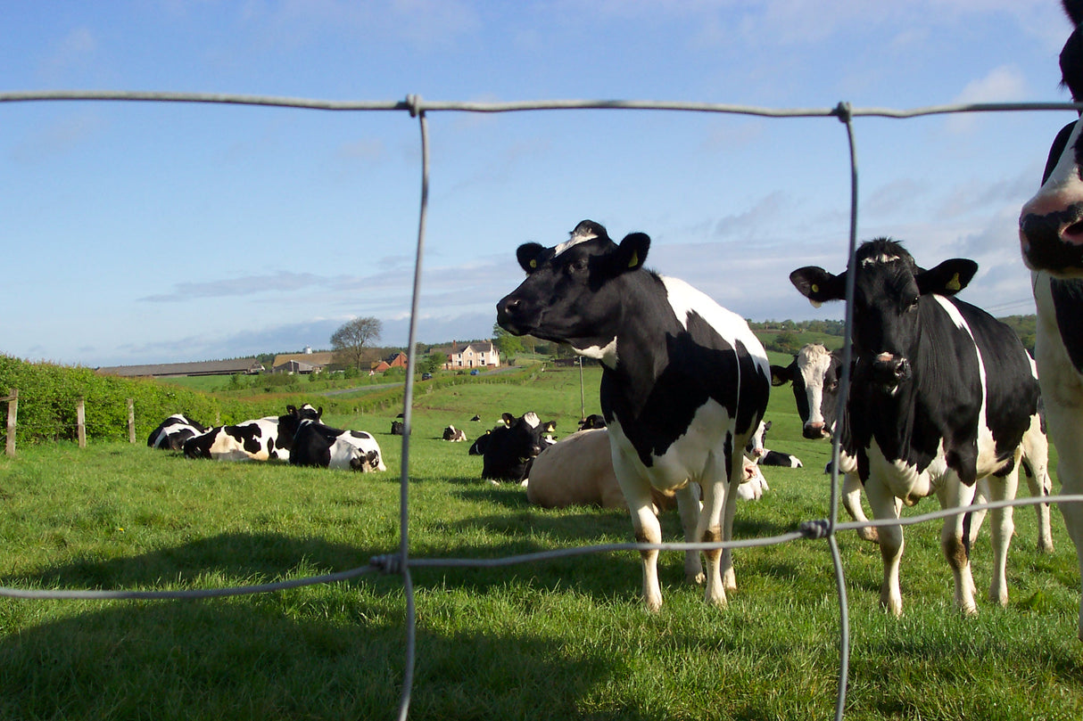 TORNADO STOCKFENCE HT8/80/15 100MTR LIVESTOCK HIGH TENSILE