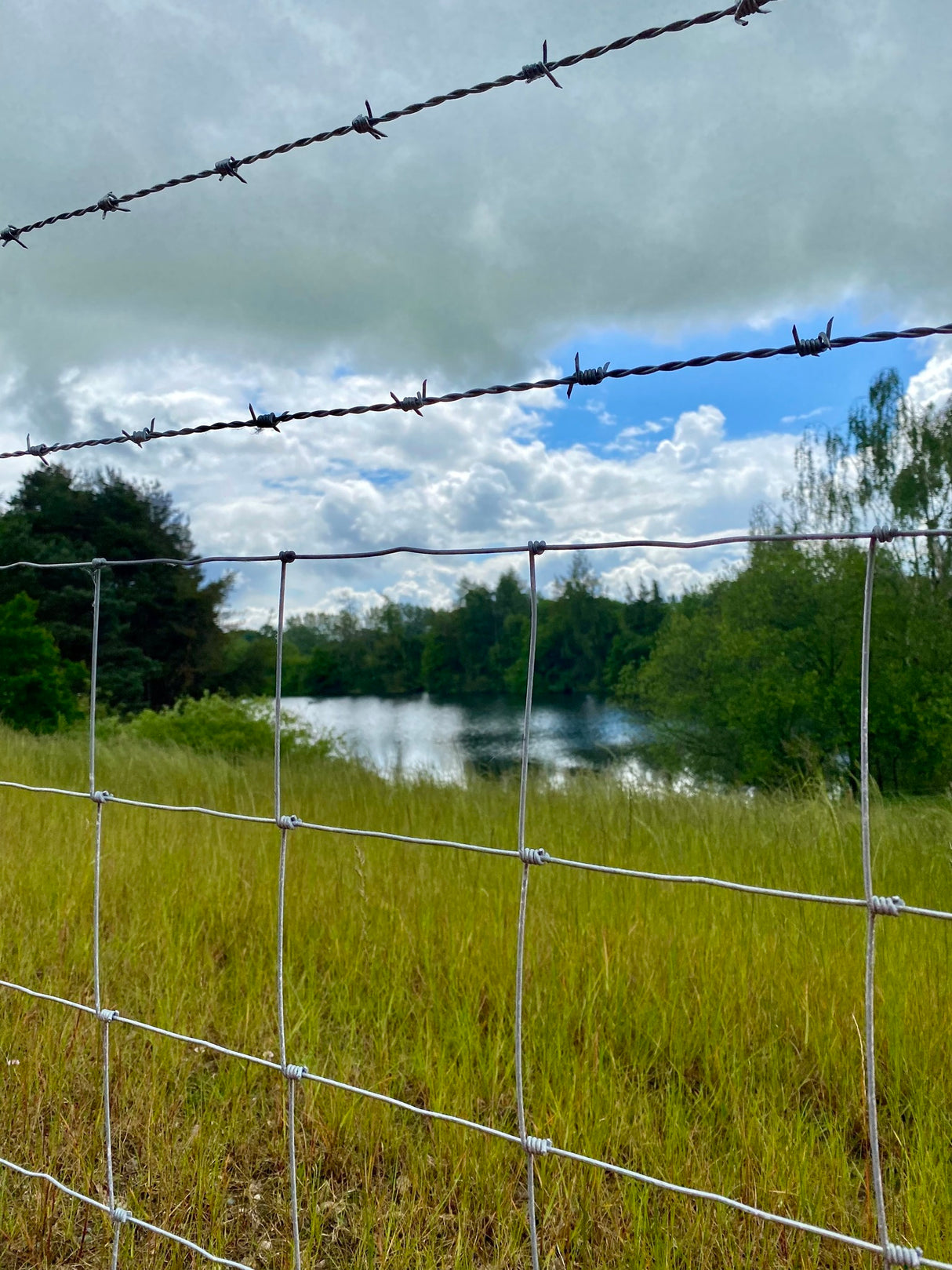 TORNADO STOCKFENCE L8/80/15 50MTR LIVESTOCK LIGHT MILD STEEL