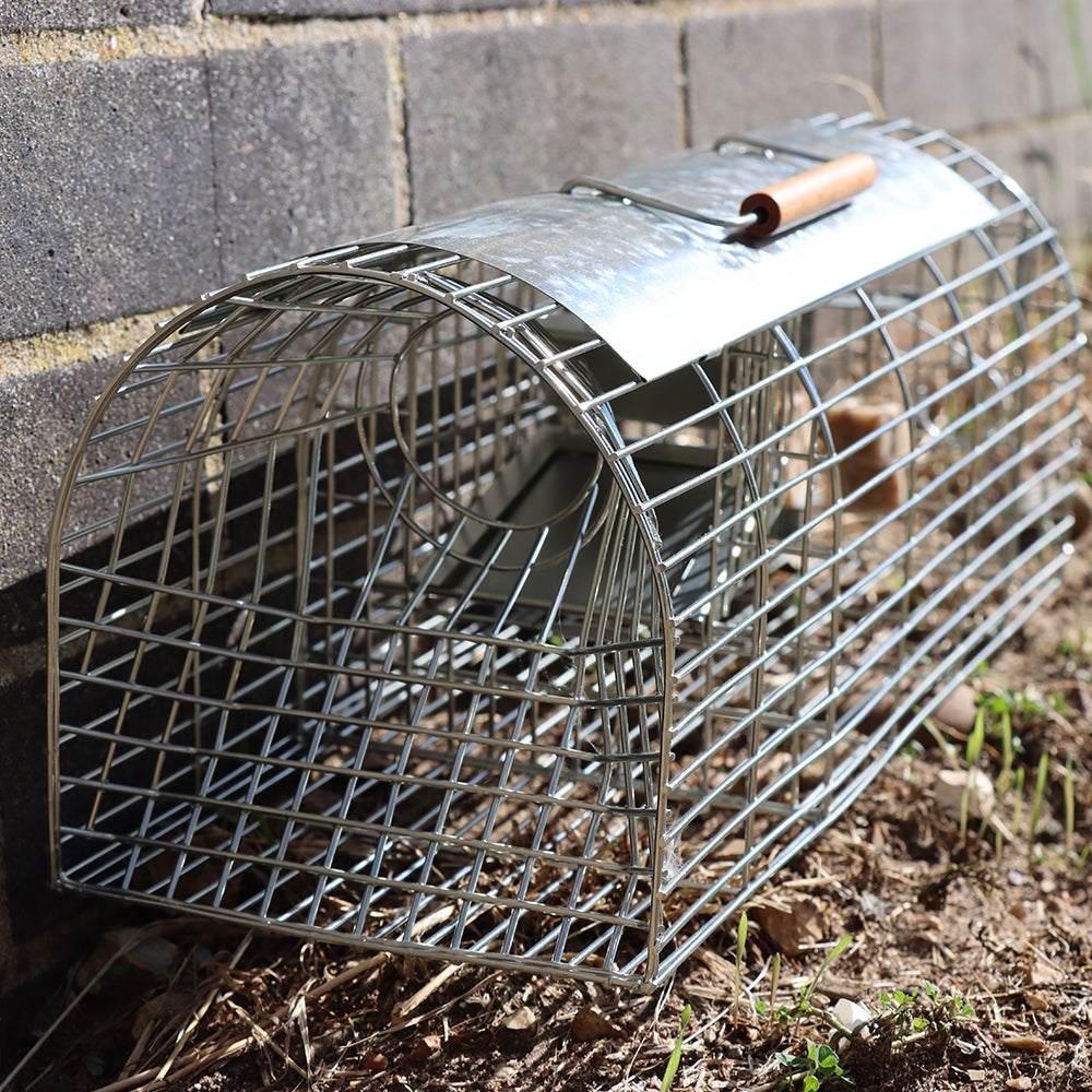 THE BIG CHEESE MULTICATCH RAT CAGE